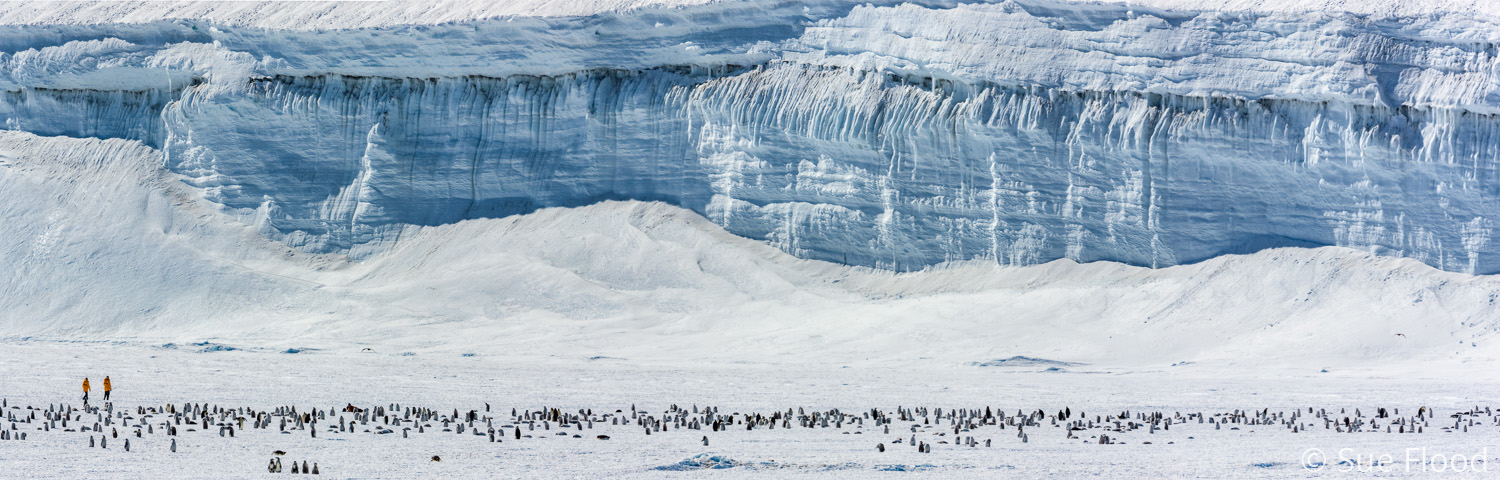 People visiting emperor penguin colony, Antarctica