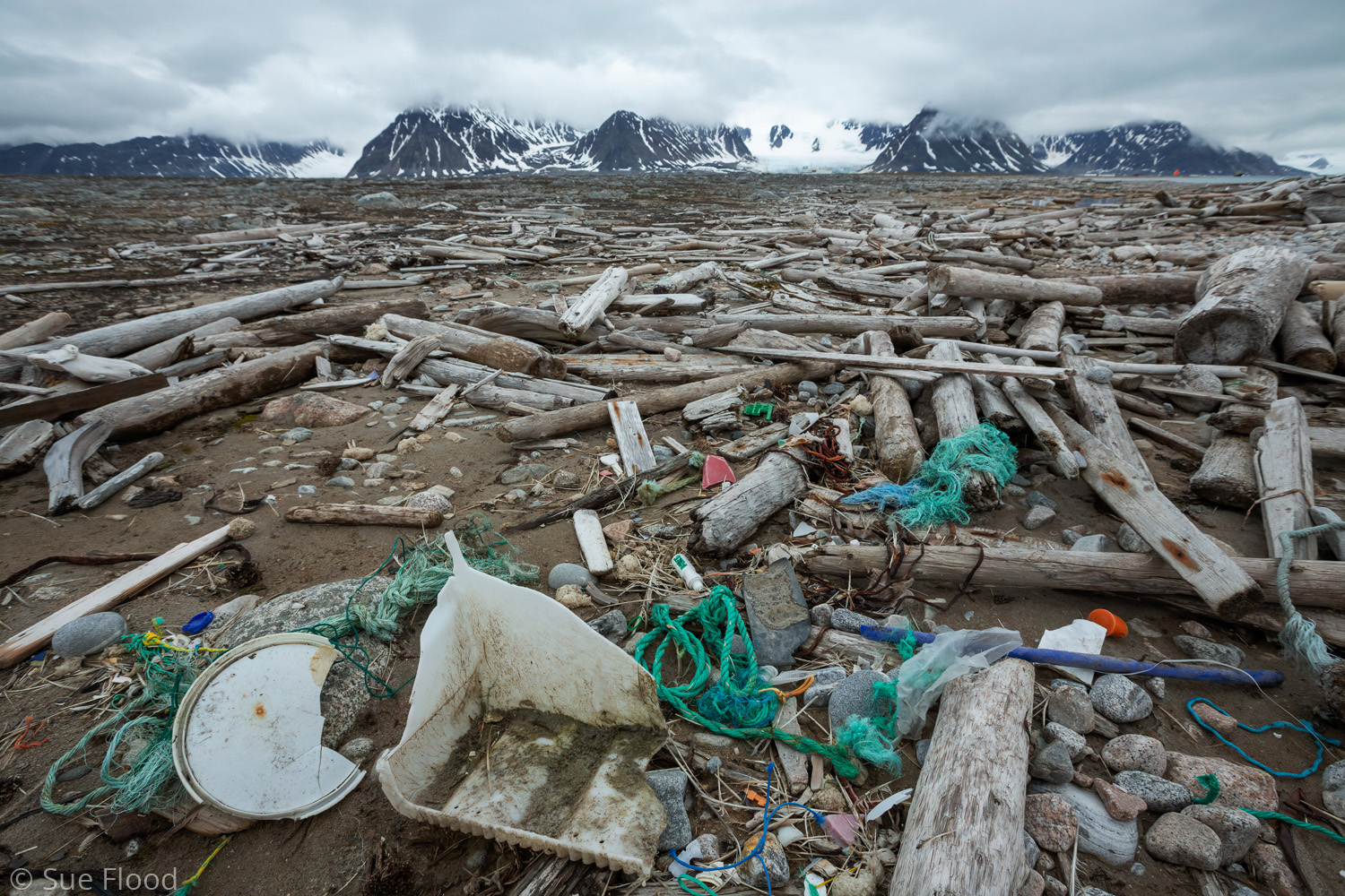Plastic debris on beach in Svalbard, Norwegian Arctic.