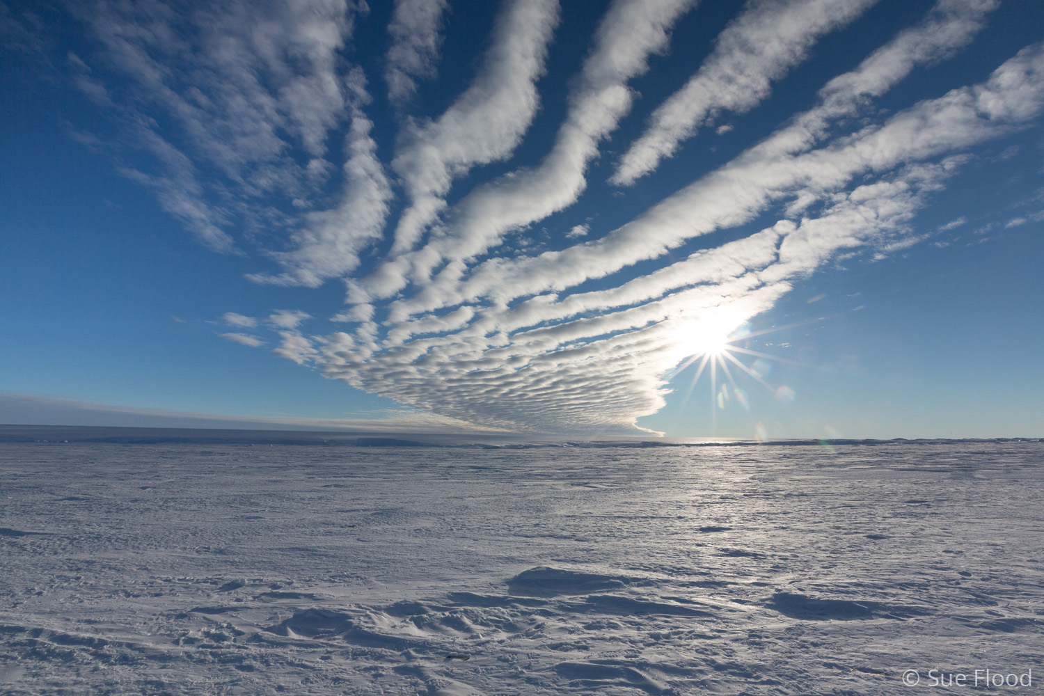 Icescape, Gould Bay, Weddell Sea, Antarctica