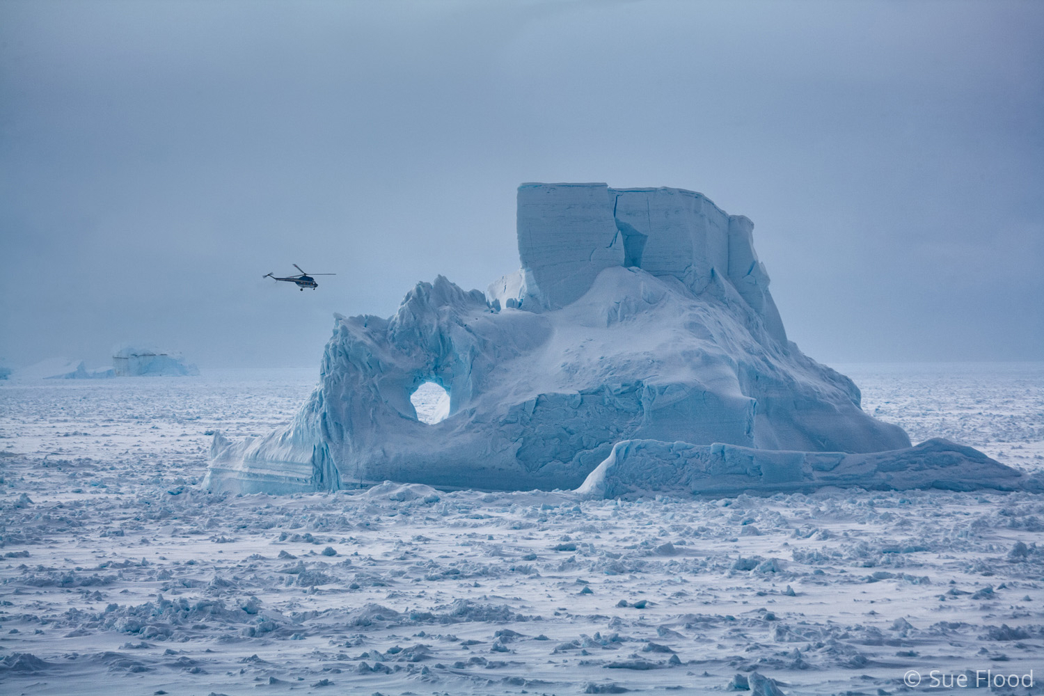 Helicopter with huge iceberg, Antarctic Sound, Antarctica