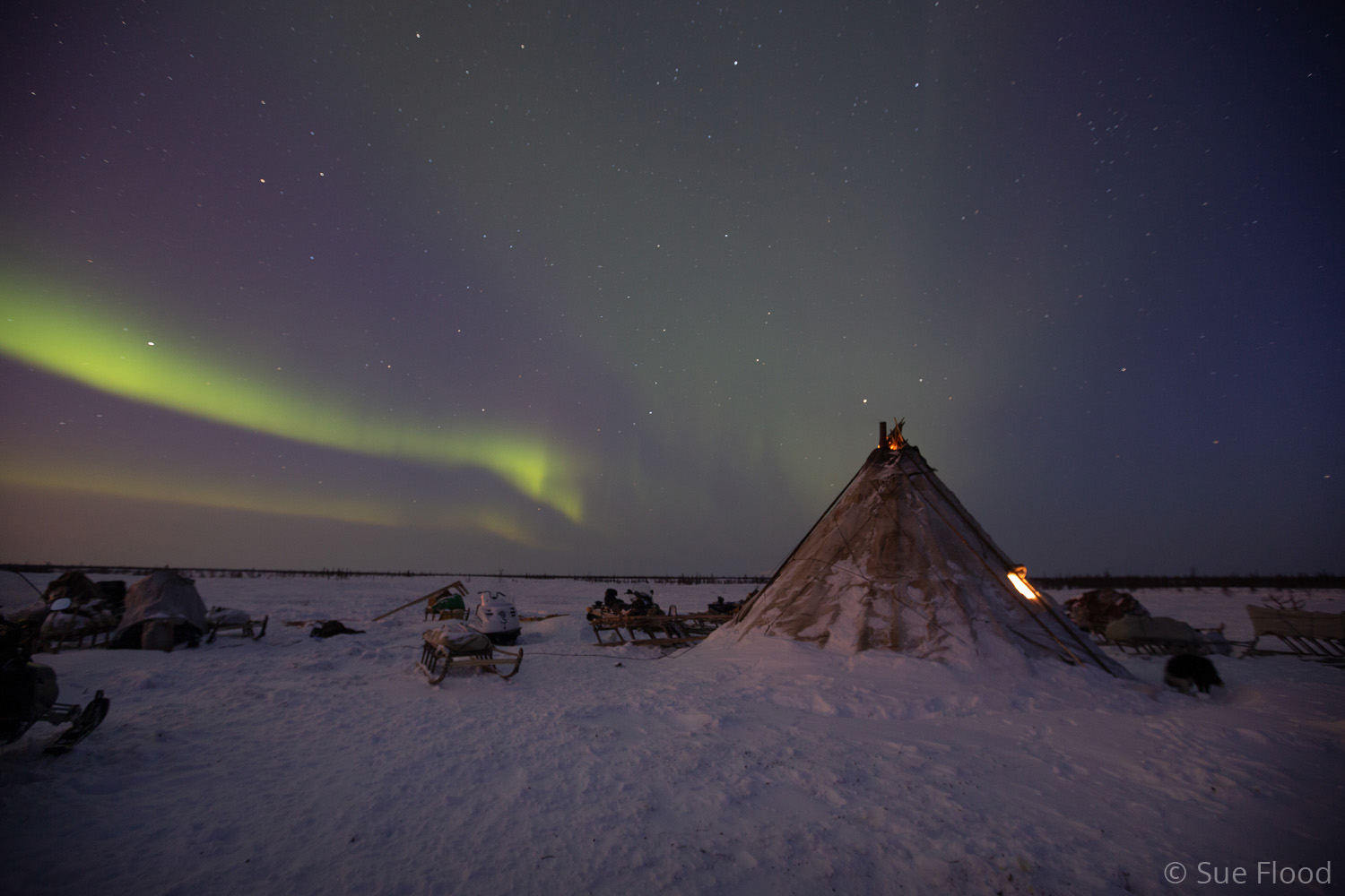 Nenets reindeer herders’ camp, Yamal peninsula, Siberia