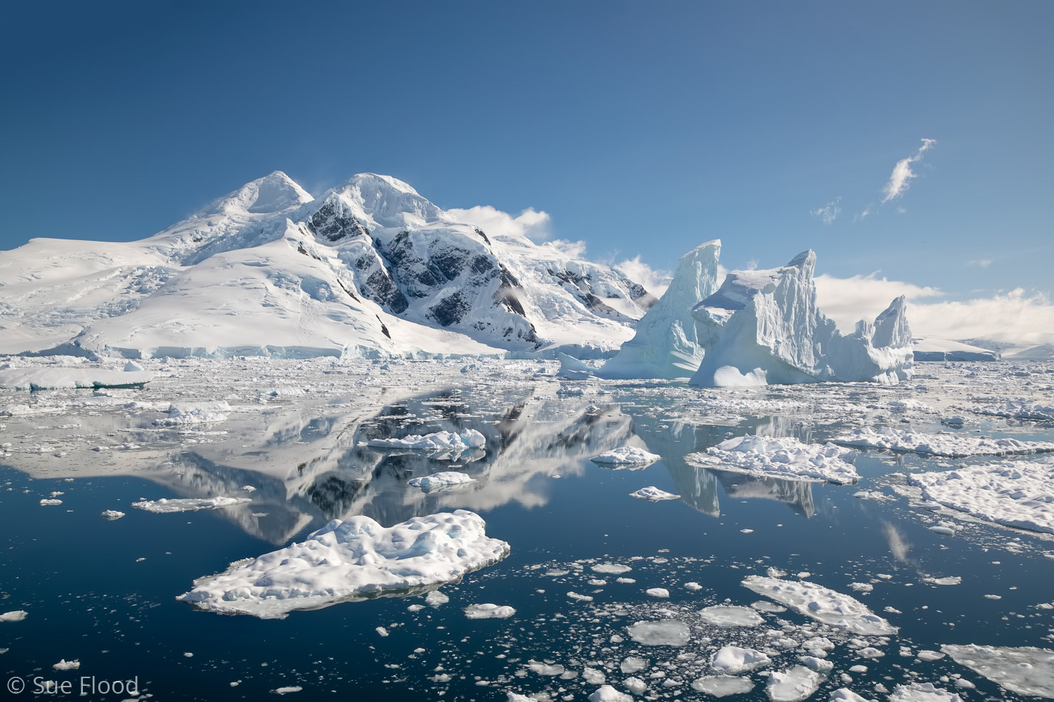 Icescape, Antarctic peninsula