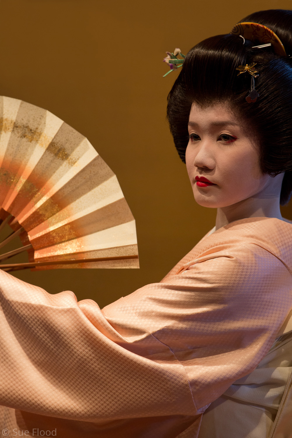 Geisha performing for guests at tea house in Kanazawa, Japan