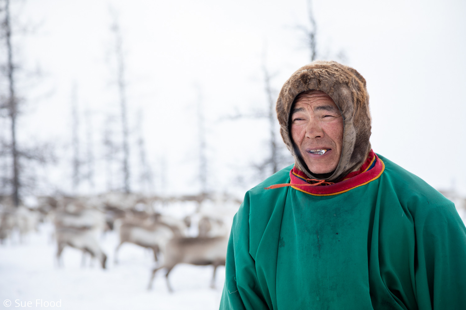 Nenets reindeer herder, Yamal peninsula, Siberia