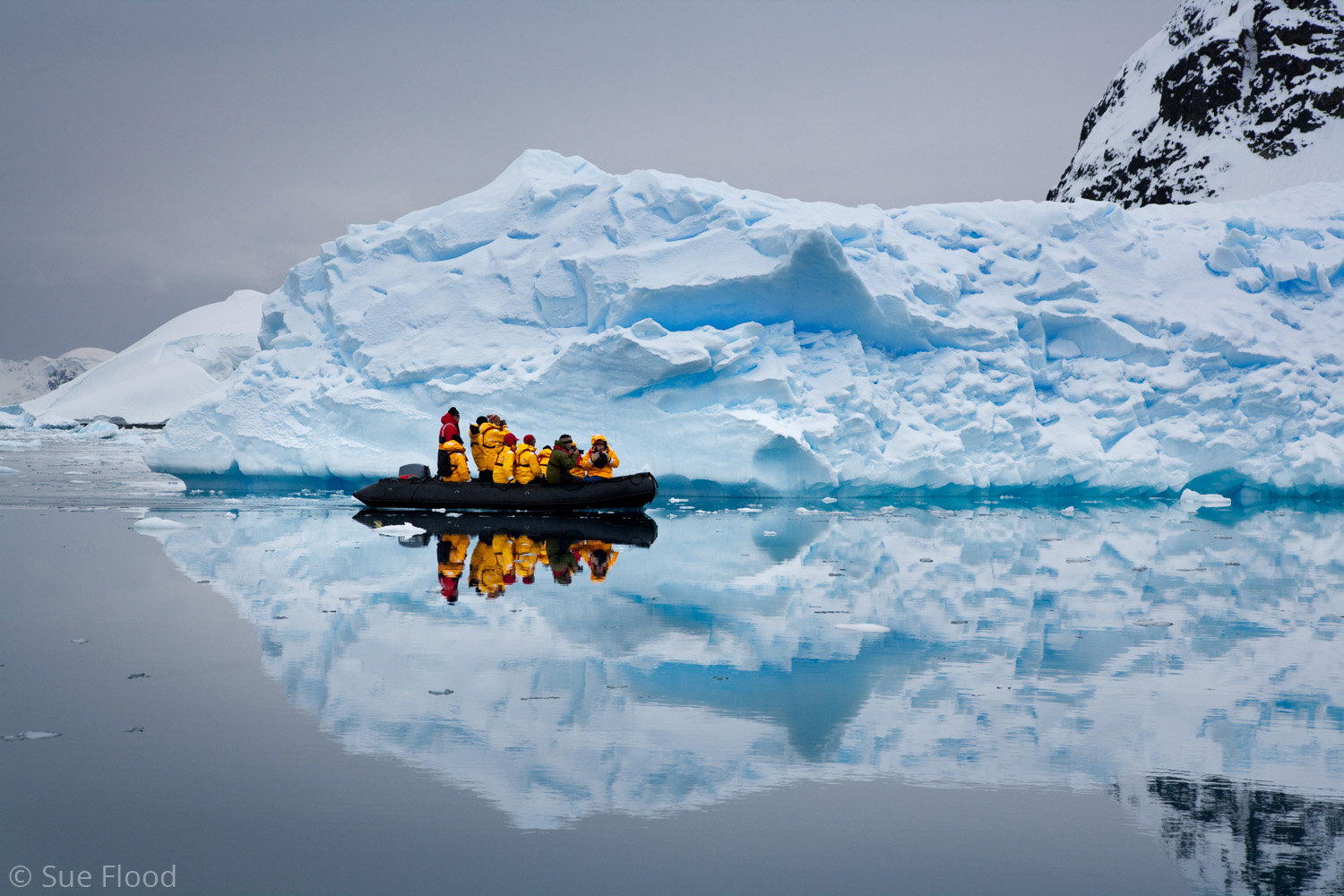 Tourists in Antarctica - Selected for Quark Expeditions cover shot