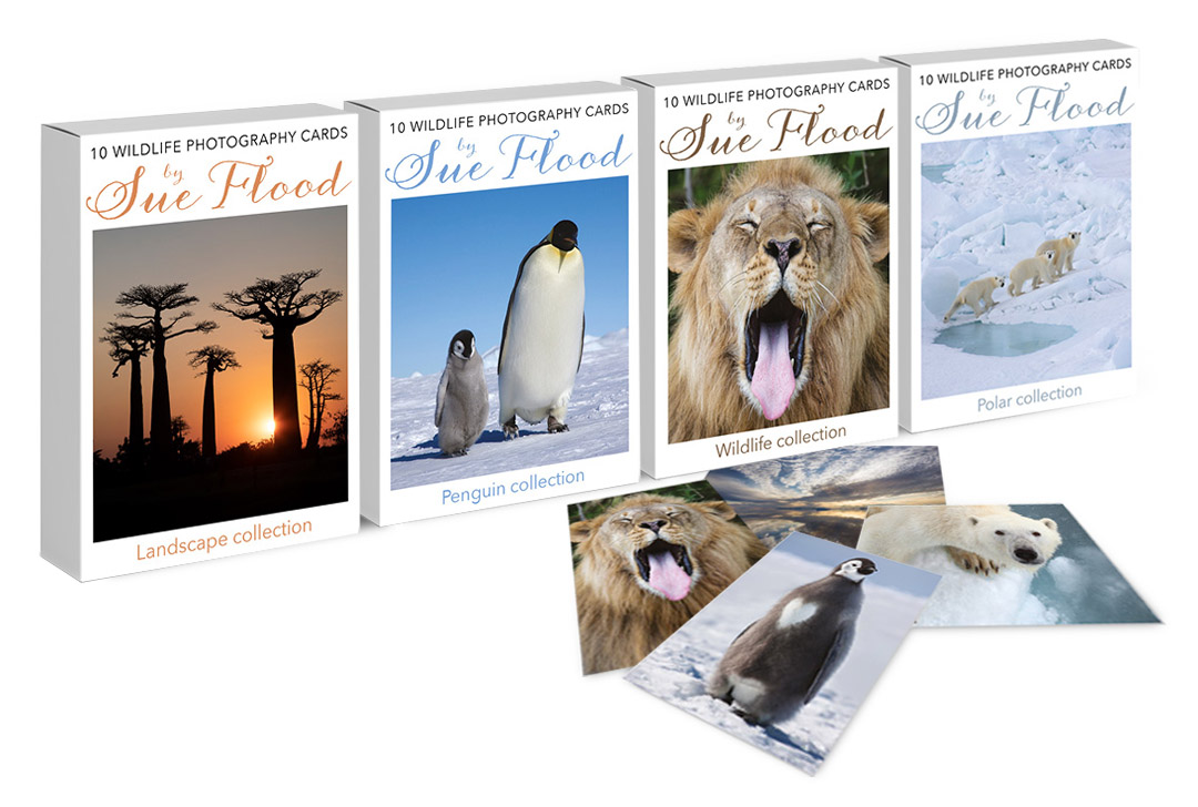 Greetings card packs