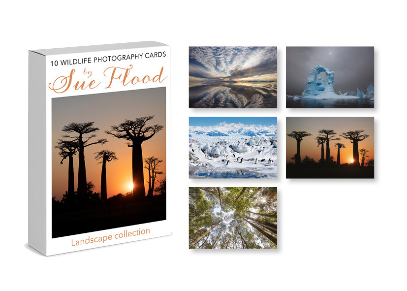 Landscape Photography cards