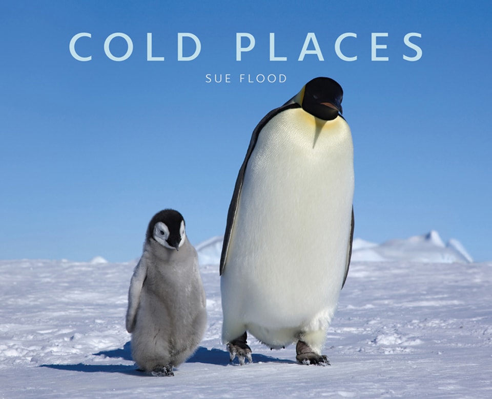 cover image for Cold Places